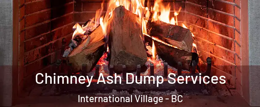  Chimney Ash Dump Services International Village - BC