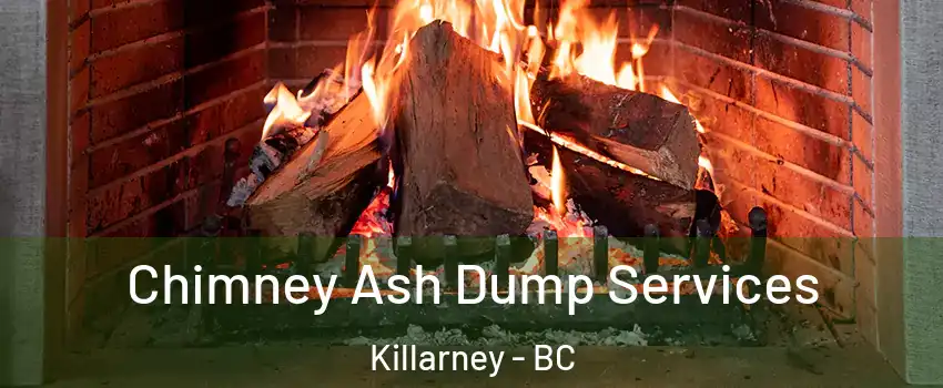  Chimney Ash Dump Services Killarney - BC