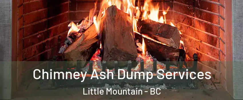  Chimney Ash Dump Services Little Mountain - BC