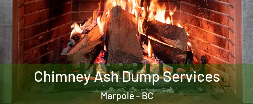  Chimney Ash Dump Services Marpole - BC