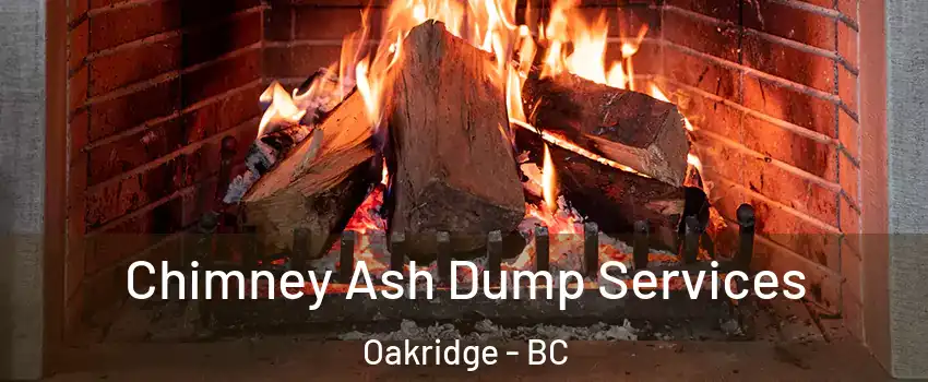  Chimney Ash Dump Services Oakridge - BC