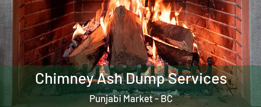  Chimney Ash Dump Services Punjabi Market - BC