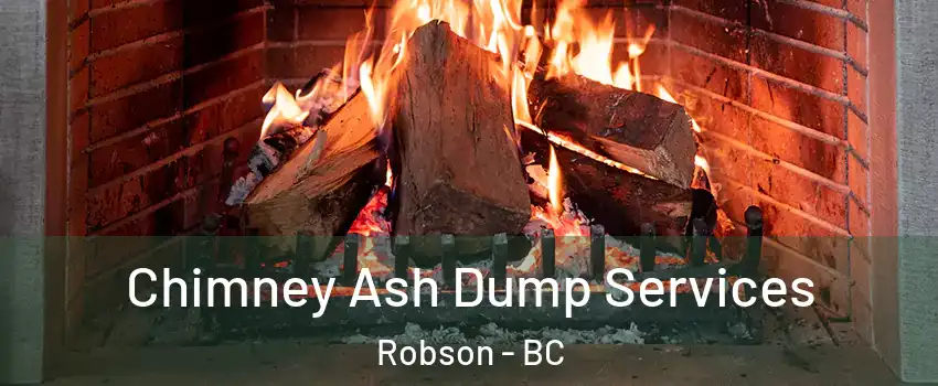  Chimney Ash Dump Services Robson - BC