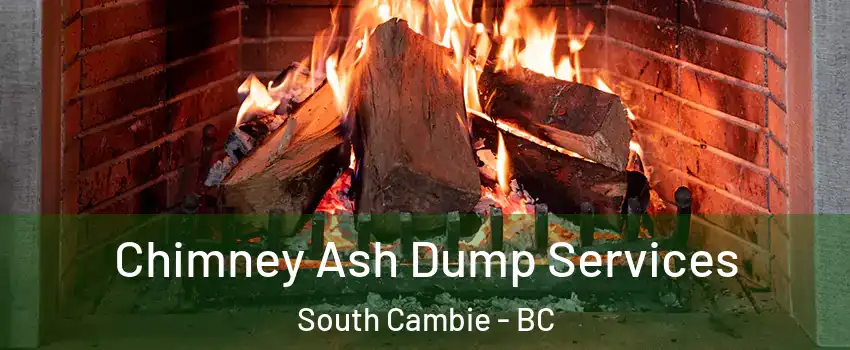 Chimney Ash Dump Services South Cambie - BC