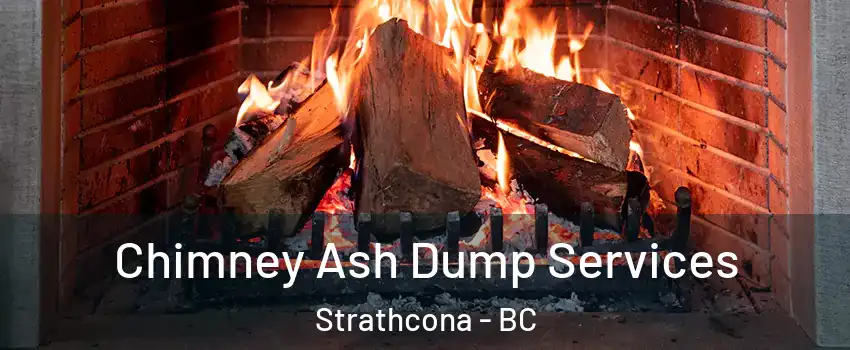  Chimney Ash Dump Services Strathcona - BC
