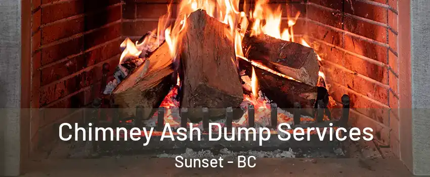  Chimney Ash Dump Services Sunset - BC