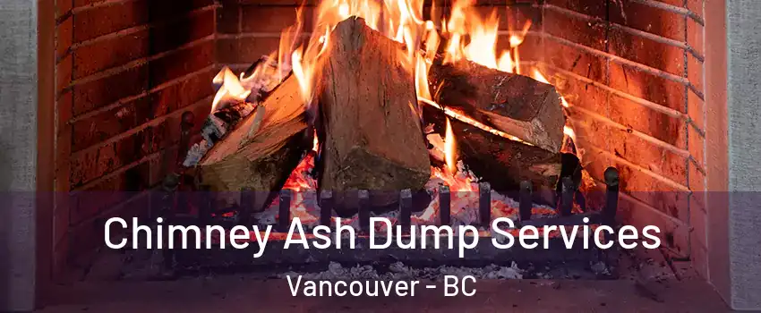  Chimney Ash Dump Services Vancouver - BC