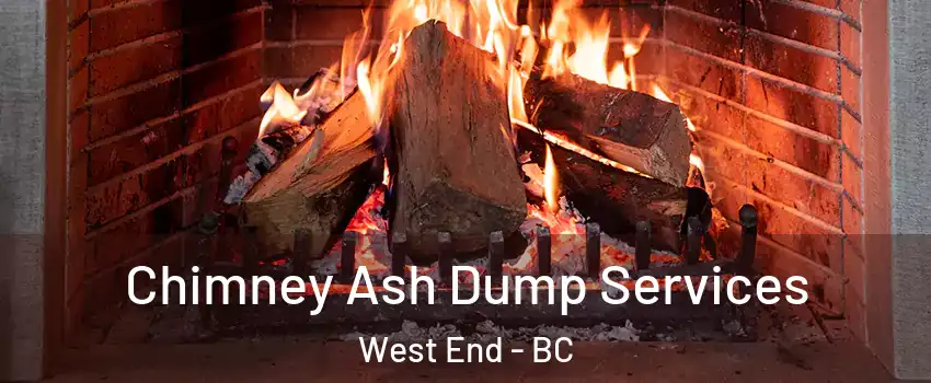  Chimney Ash Dump Services West End - BC