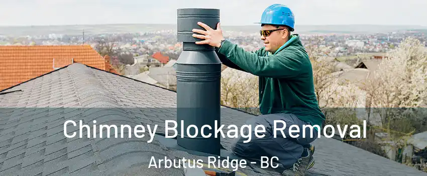  Chimney Blockage Removal Arbutus Ridge - BC