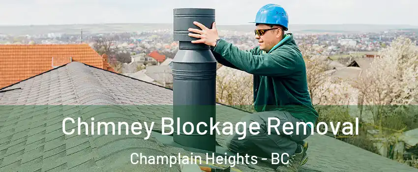  Chimney Blockage Removal Champlain Heights - BC