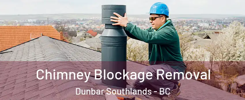  Chimney Blockage Removal Dunbar Southlands - BC