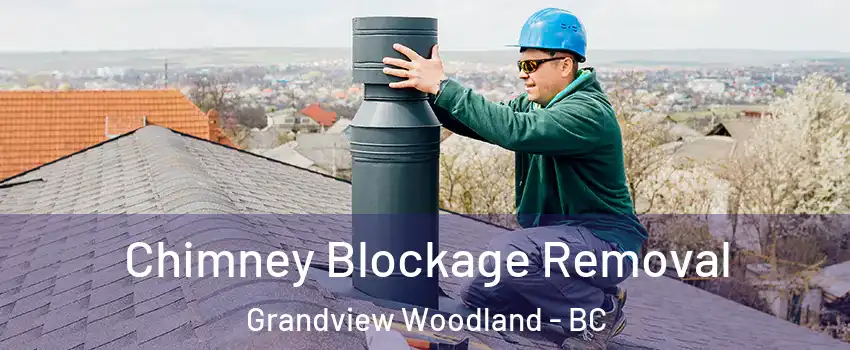  Chimney Blockage Removal Grandview Woodland - BC
