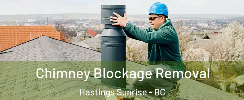  Chimney Blockage Removal Hastings Sunrise - BC