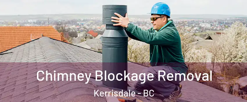  Chimney Blockage Removal Kerrisdale - BC