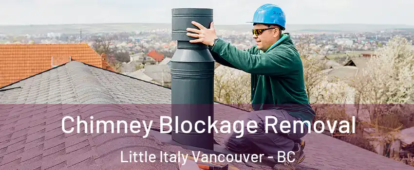  Chimney Blockage Removal Little Italy Vancouver - BC