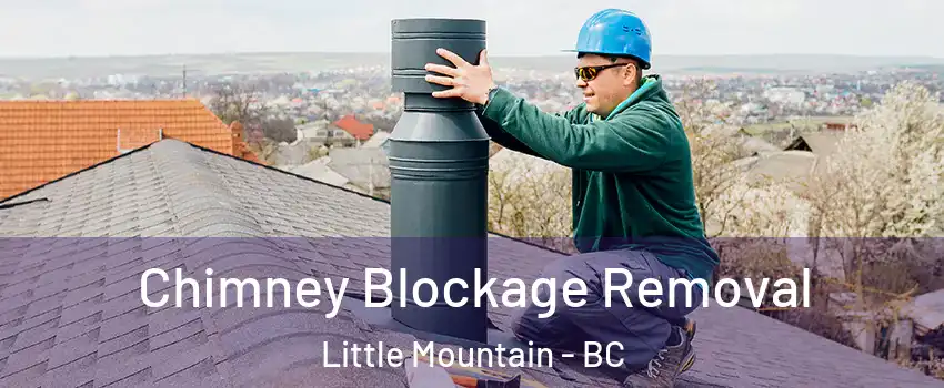  Chimney Blockage Removal Little Mountain - BC