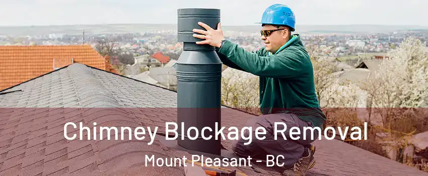  Chimney Blockage Removal Mount Pleasant - BC