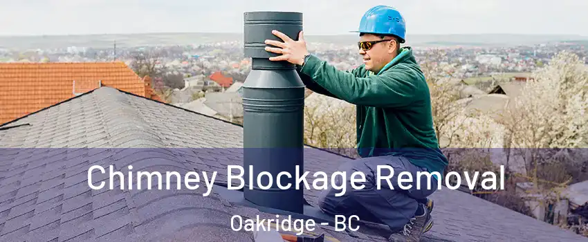  Chimney Blockage Removal Oakridge - BC