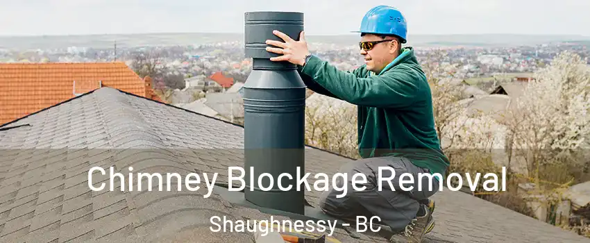  Chimney Blockage Removal Shaughnessy - BC