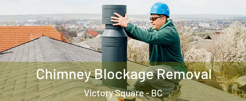  Chimney Blockage Removal Victory Square - BC
