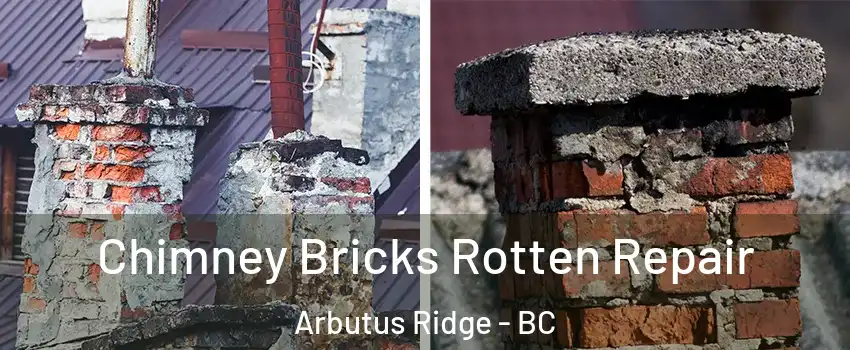  Chimney Bricks Rotten Repair Arbutus Ridge - BC