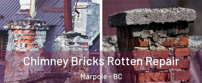  Chimney Bricks Rotten Repair Marpole - BC