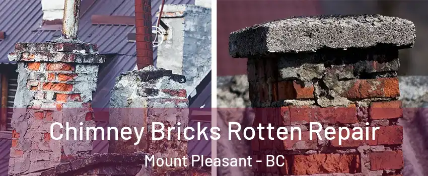  Chimney Bricks Rotten Repair Mount Pleasant - BC