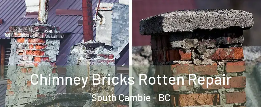  Chimney Bricks Rotten Repair South Cambie - BC