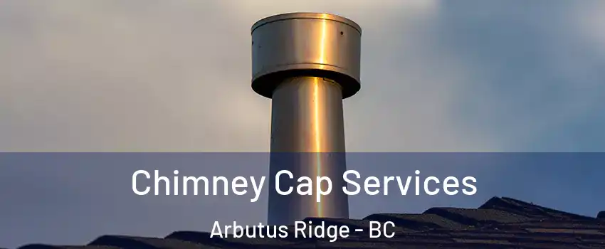  Chimney Cap Services Arbutus Ridge - BC
