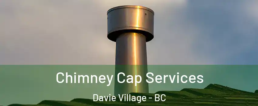  Chimney Cap Services Davie Village - BC