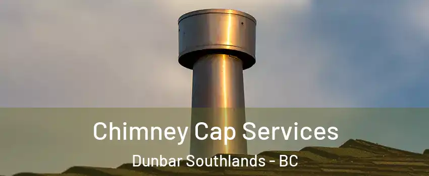  Chimney Cap Services Dunbar Southlands - BC