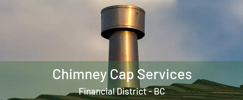  Chimney Cap Services Financial District - BC