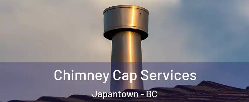  Chimney Cap Services Japantown - BC