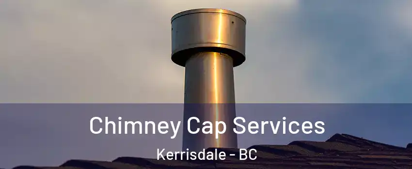  Chimney Cap Services Kerrisdale - BC