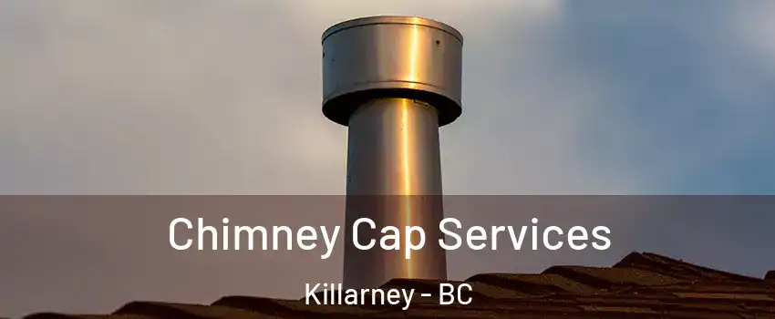  Chimney Cap Services Killarney - BC