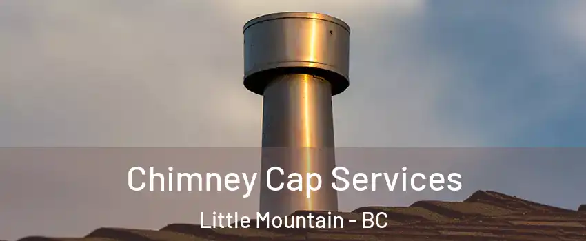  Chimney Cap Services Little Mountain - BC