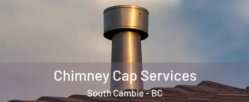  Chimney Cap Services South Cambie - BC
