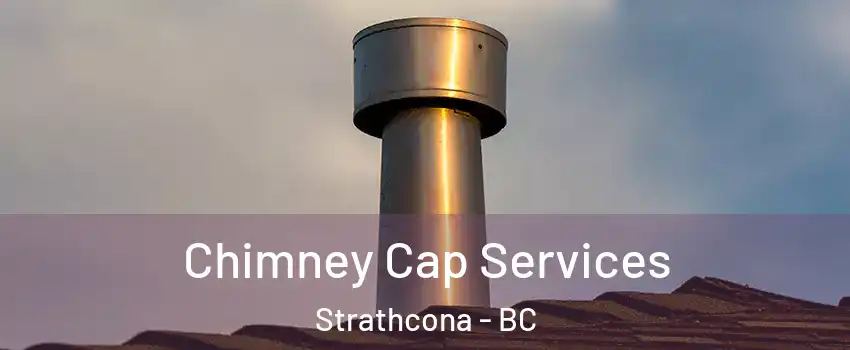  Chimney Cap Services Strathcona - BC