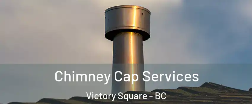  Chimney Cap Services Victory Square - BC