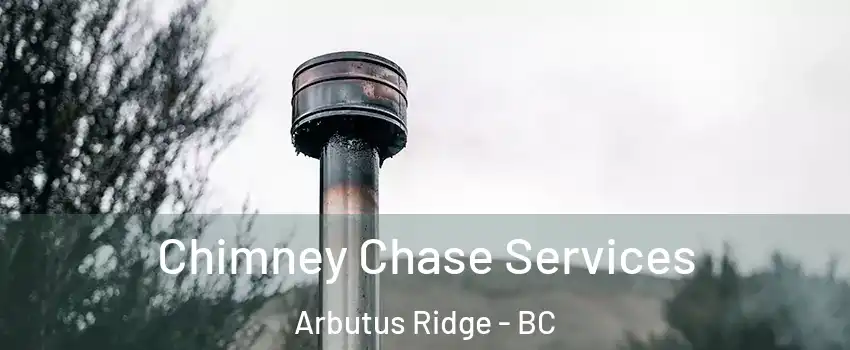  Chimney Chase Services Arbutus Ridge - BC