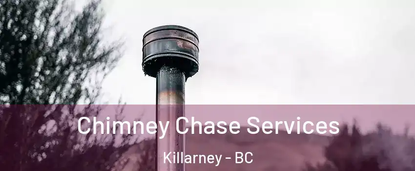  Chimney Chase Services Killarney - BC