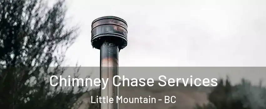  Chimney Chase Services Little Mountain - BC