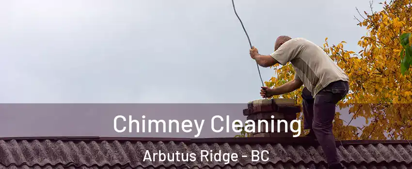  Chimney Cleaning Arbutus Ridge - BC