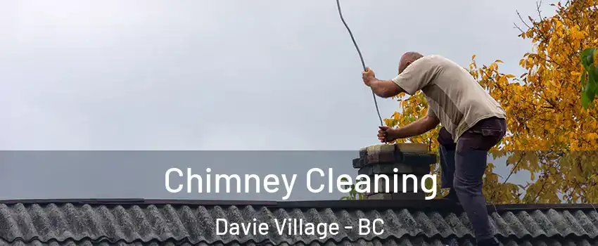  Chimney Cleaning Davie Village - BC