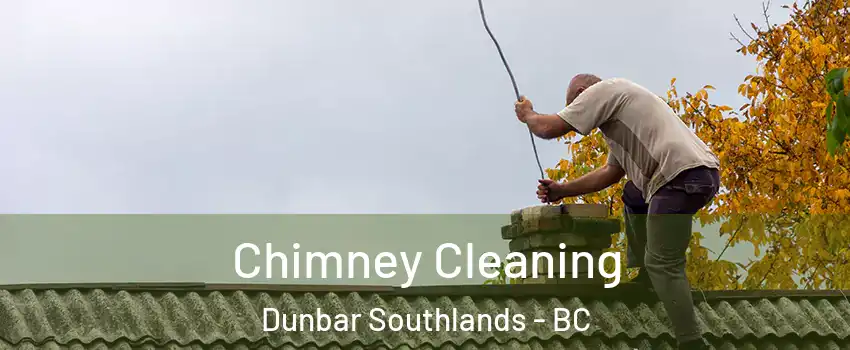  Chimney Cleaning Dunbar Southlands - BC