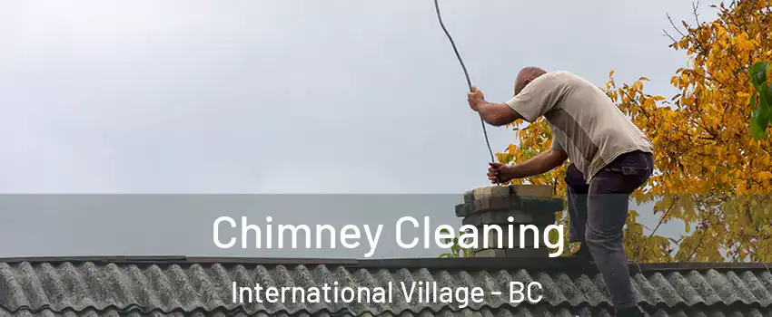  Chimney Cleaning International Village - BC