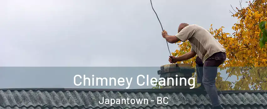  Chimney Cleaning Japantown - BC