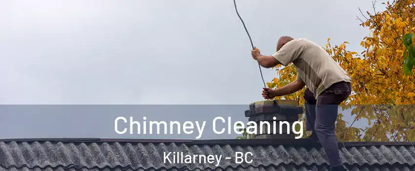  Chimney Cleaning Killarney - BC