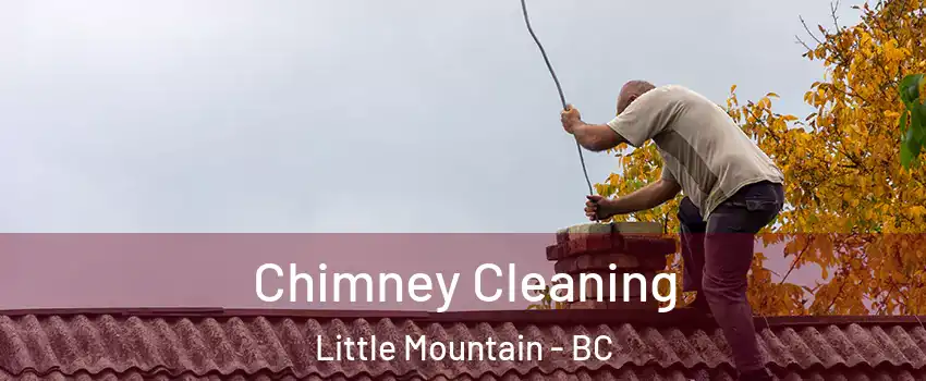  Chimney Cleaning Little Mountain - BC