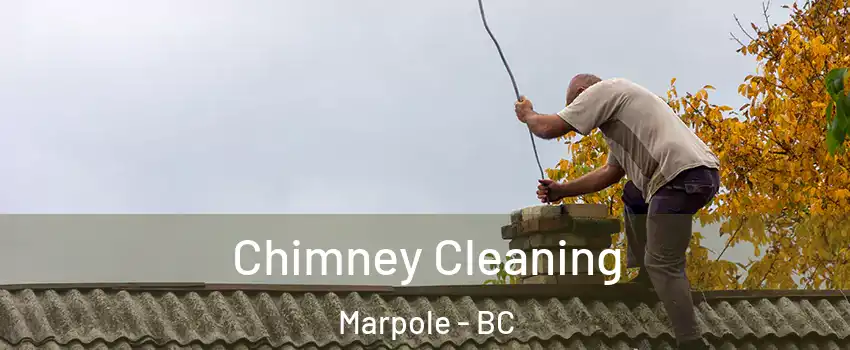  Chimney Cleaning Marpole - BC
